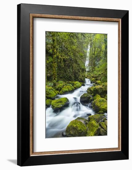 Elowah Falls on Mccord Creek, Columbia Gorge, Oregon, USA-Chuck Haney-Framed Photographic Print