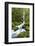 Elowah Falls on Mccord Creek, Columbia Gorge, Oregon, USA-Chuck Haney-Framed Photographic Print