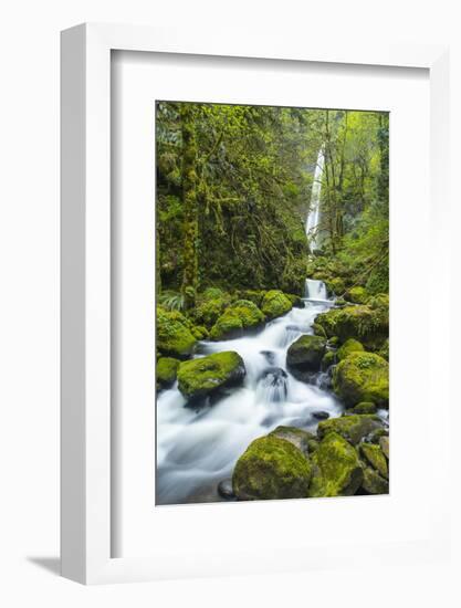 Elowah Falls on Mccord Creek, Columbia Gorge, Oregon, USA-Chuck Haney-Framed Photographic Print