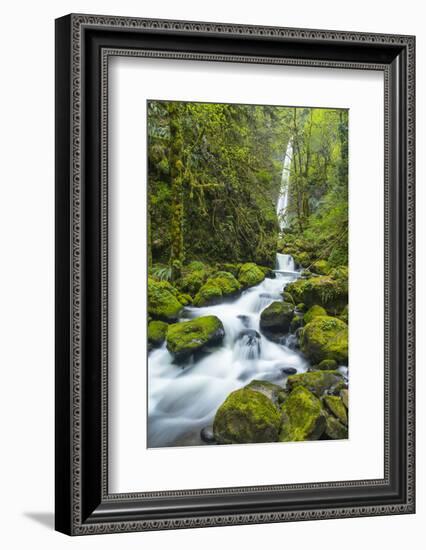 Elowah Falls on Mccord Creek, Columbia Gorge, Oregon, USA-Chuck Haney-Framed Photographic Print