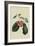 Elton Cherry-William Hooker-Framed Art Print