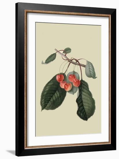 Elton Cherry-William Hooker-Framed Art Print