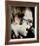 Elton John-null-Framed Photo