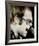 Elton John-null-Framed Photo