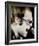 Elton John-null-Framed Photo