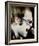 Elton John-null-Framed Photo