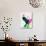 Elton Watercolor-Lora Feldman-Premium Giclee Print displayed on a wall