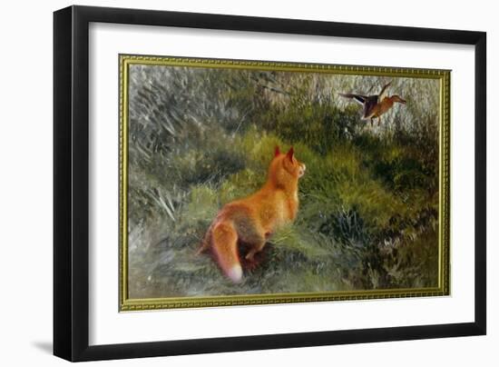 Eluding the Fox, 1912-Bruno Andreas Liljefors-Framed Giclee Print