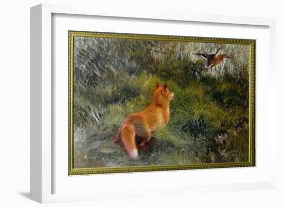 Eluding the Fox, 1912-Bruno Andreas Liljefors-Framed Giclee Print