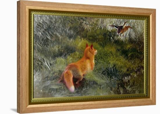 Eluding the Fox, 1912-Bruno Andreas Liljefors-Framed Premier Image Canvas