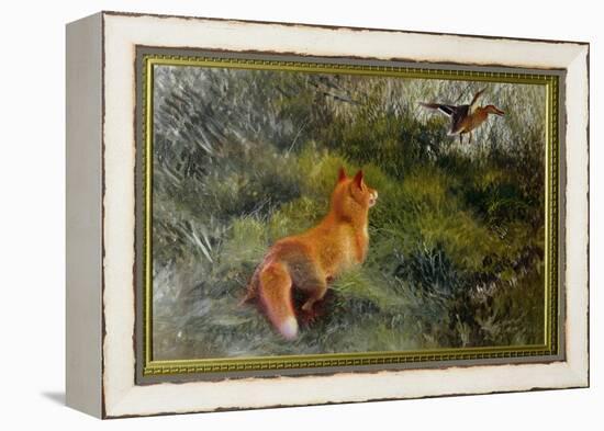 Eluding the Fox, 1912-Bruno Andreas Liljefors-Framed Premier Image Canvas