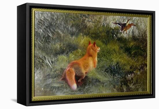 Eluding the Fox, 1912-Bruno Andreas Liljefors-Framed Premier Image Canvas