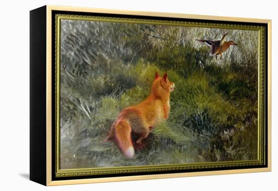 Eluding the Fox, 1912-Bruno Andreas Liljefors-Framed Premier Image Canvas