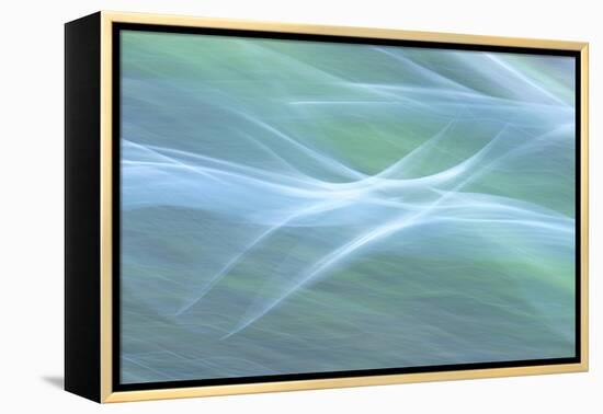 Elusive Thoughts-Jacob Berghoef-Framed Premier Image Canvas