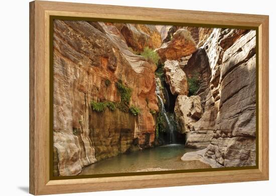 Elves Chasm, Grand Canyon National Park, Arizona, USA-Matt Freedman-Framed Premier Image Canvas