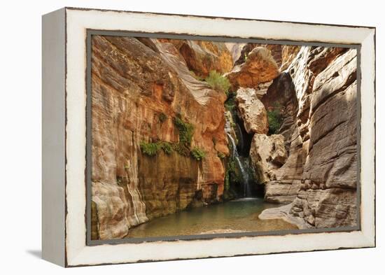 Elves Chasm, Grand Canyon National Park, Arizona, USA-Matt Freedman-Framed Premier Image Canvas