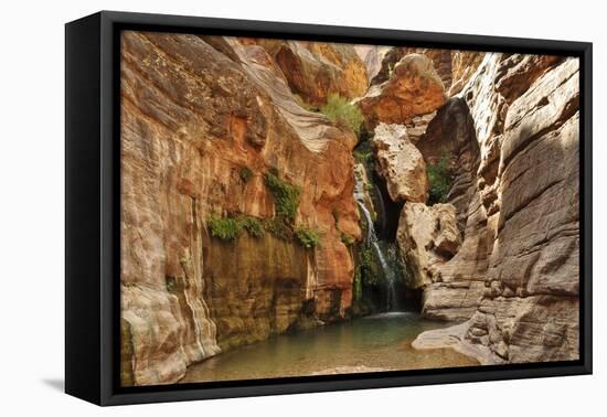 Elves Chasm, Grand Canyon National Park, Arizona, USA-Matt Freedman-Framed Premier Image Canvas