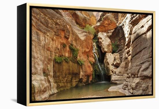 Elves Chasm, Grand Canyon National Park, Arizona, USA-Matt Freedman-Framed Premier Image Canvas