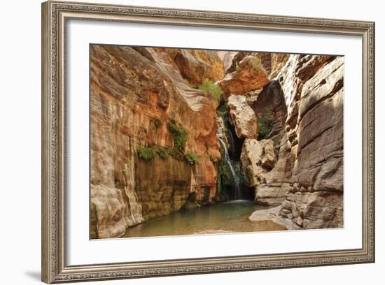 Elves Chasm, Grand Canyon National Park, Arizona, USA-Matt Freedman-Framed Photographic Print