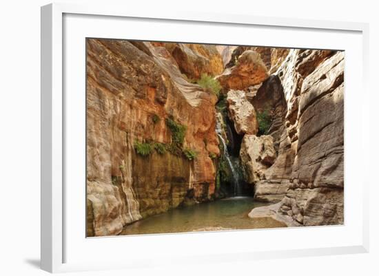 Elves Chasm, Grand Canyon National Park, Arizona, USA-Matt Freedman-Framed Photographic Print