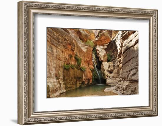 Elves Chasm, Grand Canyon National Park, Arizona, USA-Matt Freedman-Framed Photographic Print