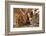 Elves Chasm, Grand Canyon National Park, Arizona, USA-Matt Freedman-Framed Photographic Print