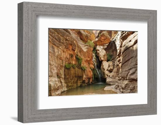 Elves Chasm, Grand Canyon National Park, Arizona, USA-Matt Freedman-Framed Photographic Print