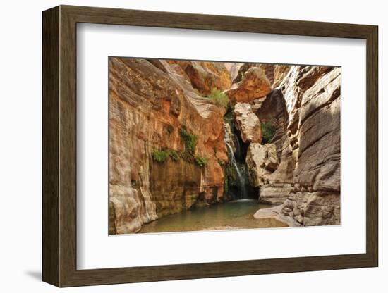 Elves Chasm, Grand Canyon National Park, Arizona, USA-Matt Freedman-Framed Photographic Print