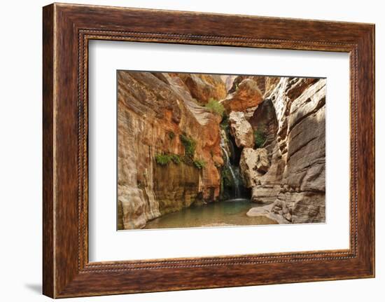 Elves Chasm, Grand Canyon National Park, Arizona, USA-Matt Freedman-Framed Photographic Print