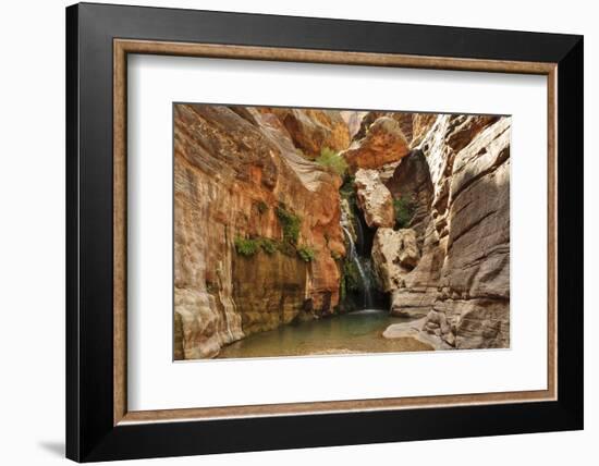 Elves Chasm, Grand Canyon National Park, Arizona, USA-Matt Freedman-Framed Photographic Print