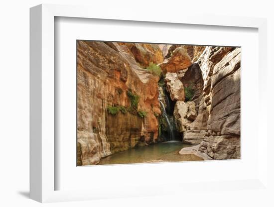 Elves Chasm, Grand Canyon National Park, Arizona, USA-Matt Freedman-Framed Photographic Print