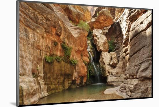 Elves Chasm, Grand Canyon National Park, Arizona, USA-Matt Freedman-Mounted Photographic Print