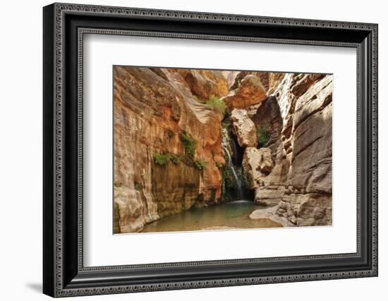 Elves Chasm, Grand Canyon National Park, Arizona, USA-Matt Freedman-Framed Photographic Print