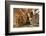 Elves Chasm, Grand Canyon National Park, Arizona, USA-Matt Freedman-Framed Premium Photographic Print