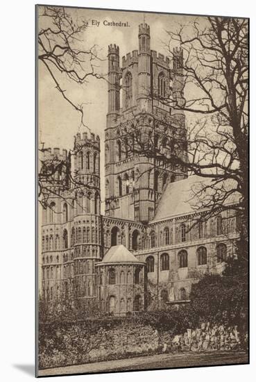 Ely Cathedral-null-Mounted Photographic Print