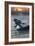 Ely, Minnesota - Loon on Lake-Lantern Press-Framed Art Print