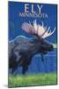 Ely, Minnesota - Moose at Night-Lantern Press-Mounted Art Print