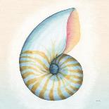 Boardwalk Nautilus-Elyse DeNeige-Art Print