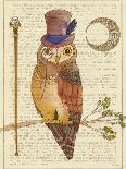 Steampunk Owl II-Elyse DeNeige-Art Print
