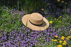 Amish Straw Hat at Spring Time-Elysium Multimedia-Photographic Print
