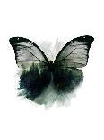 Butterfly In Black-Emanuela Carratoni-Art Print