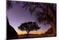 Photographic Print