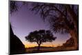 Photographic Print