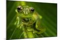 Photographic Print