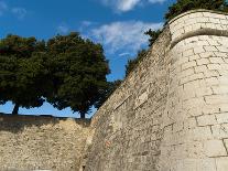 The Fosa, One of the Small Ports of Zadar, Zadar County, Dalmatia Region, Croatia, Europe-Emanuele Ciccomartino-Photographic Print