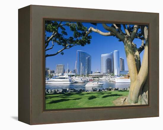 Embarcadero Marina, San Diego, California, USA-Ruth Tomlinson-Framed Premier Image Canvas