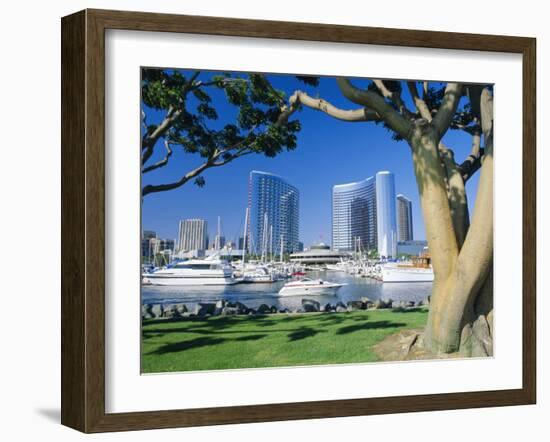 Embarcadero Marina, San Diego, California, USA-Ruth Tomlinson-Framed Photographic Print