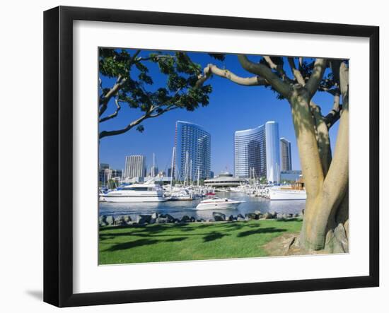 Embarcadero Marina, San Diego, California, USA-Ruth Tomlinson-Framed Photographic Print