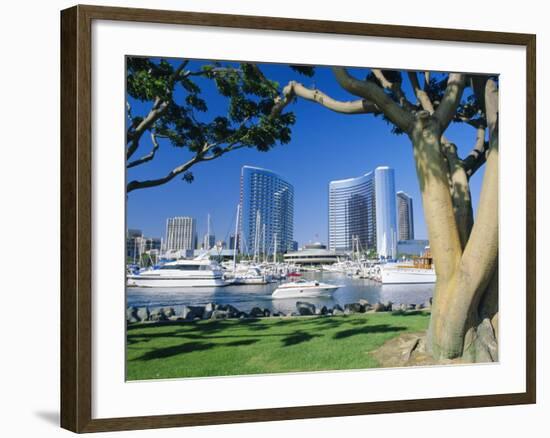 Embarcadero Marina, San Diego, California, USA-Ruth Tomlinson-Framed Photographic Print