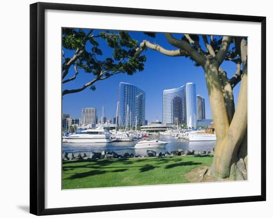 Embarcadero Marina, San Diego, California, USA-Ruth Tomlinson-Framed Photographic Print